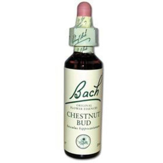 Original Bachblüten Chestnut Bud N°7 20 ml