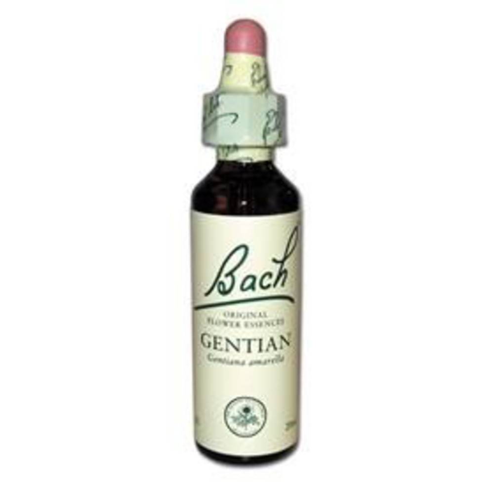 Original Bachblüten Gentian N°12 20 ml
