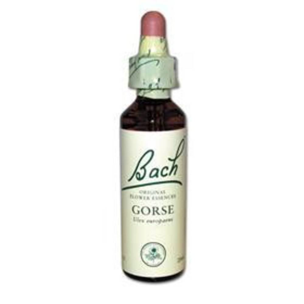 Original Bachblüten Gorse N°13 20 ml
