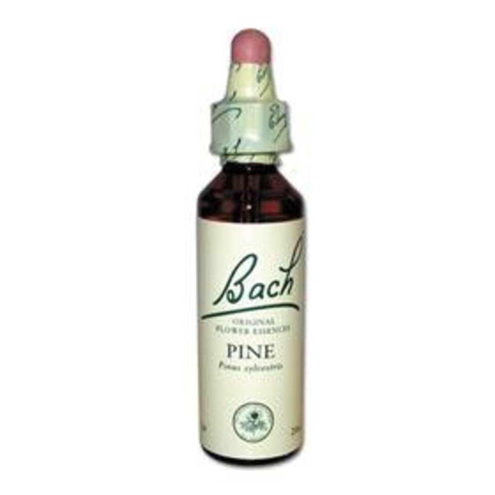 Original Bachblüten Pine N°24 20 ml