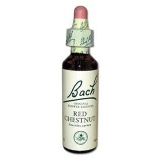 Original Bachblüten Red Chestnut N°25 20 ml