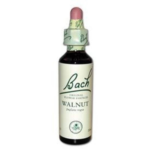 Original Bachblüten Walnut N°33 20 ml