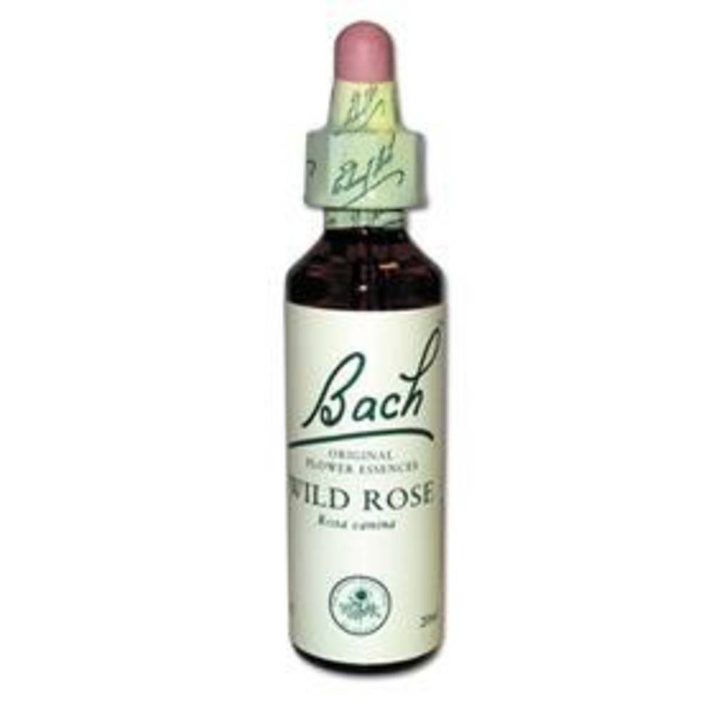 Original Bachblüten Wild Rose N°37 20 ml