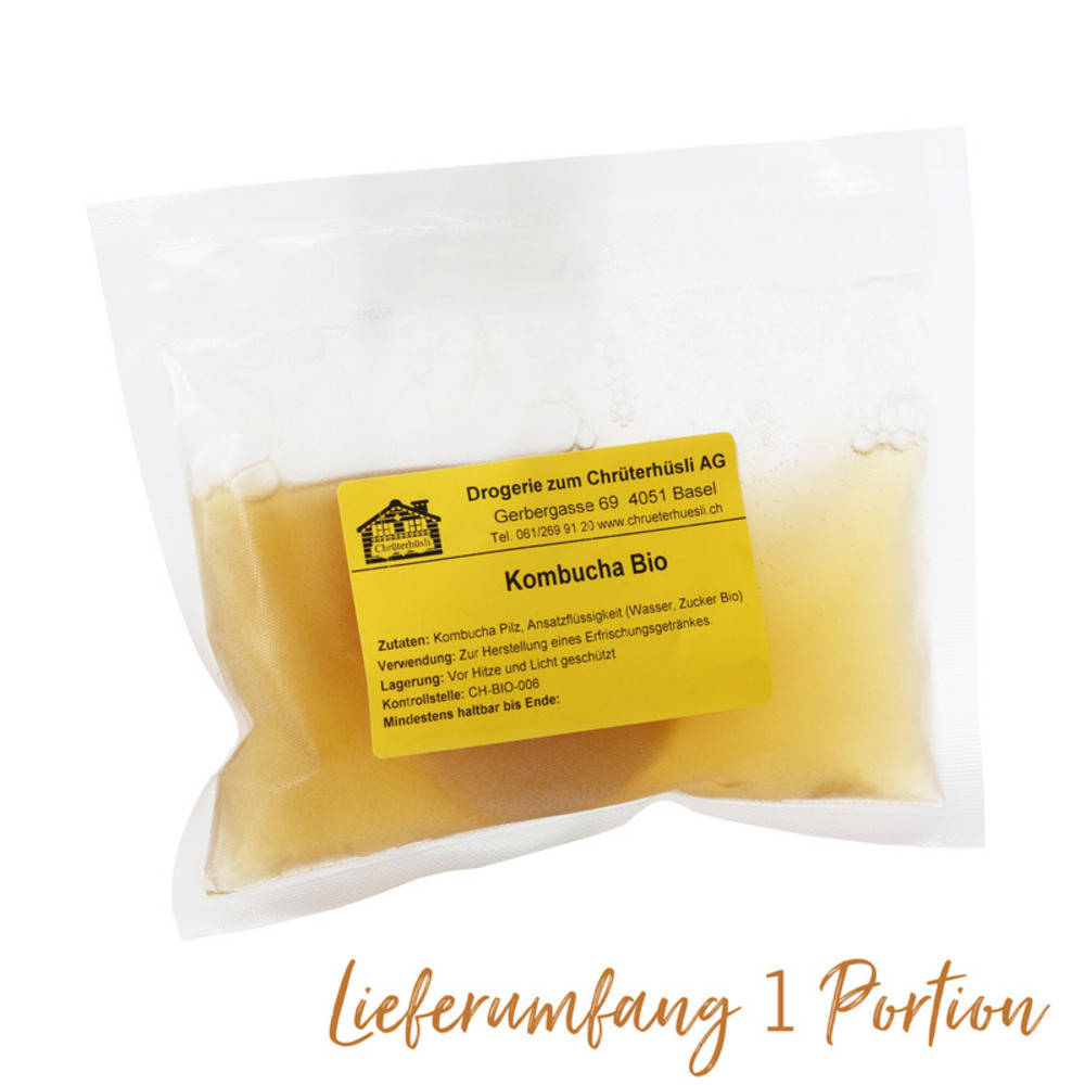 Kombucha Tee Pilz (Startpilz) Bio