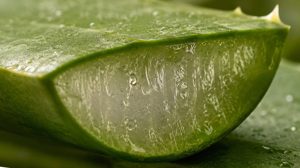 Aloe Vera Gel fettfrei-zutat1_rechts1