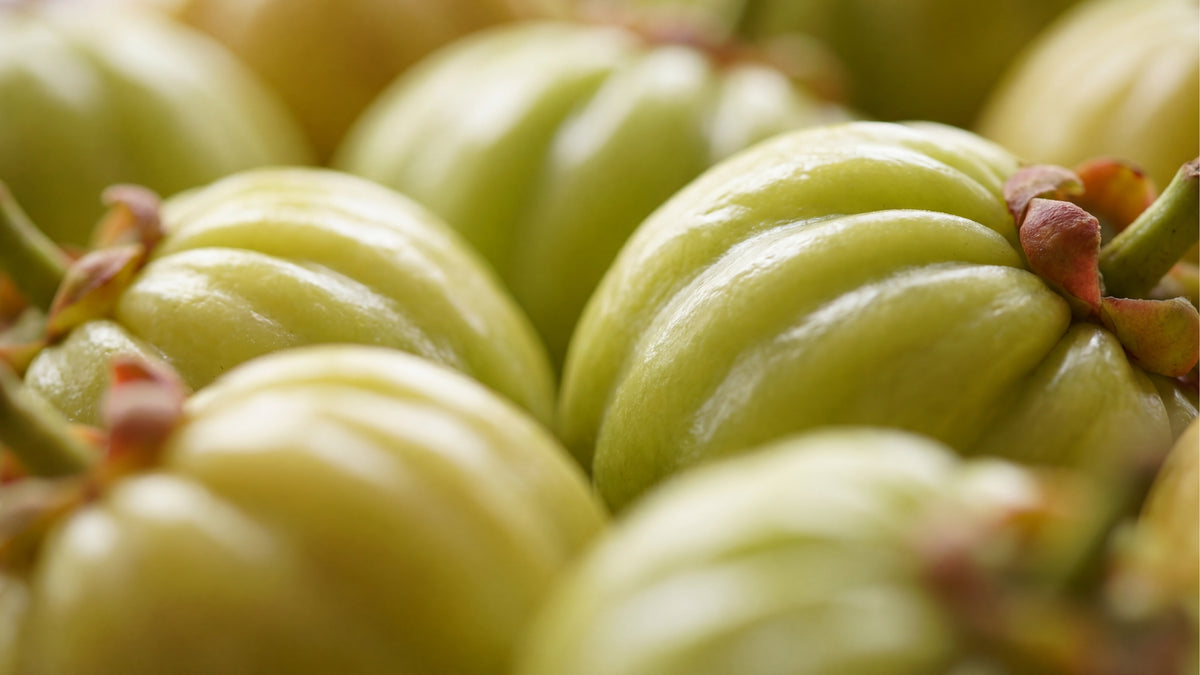 Appetit Management Kapseln-zutat2_links