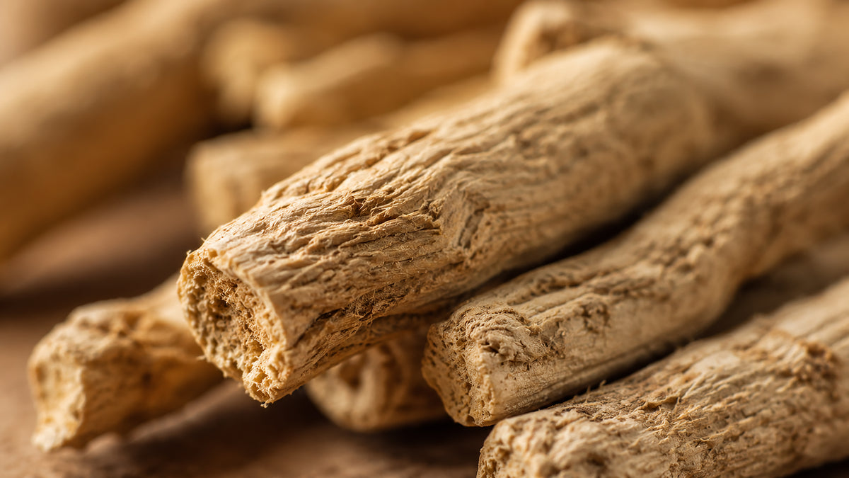 Ashwagandha Kapseln-Zutat1_rechts