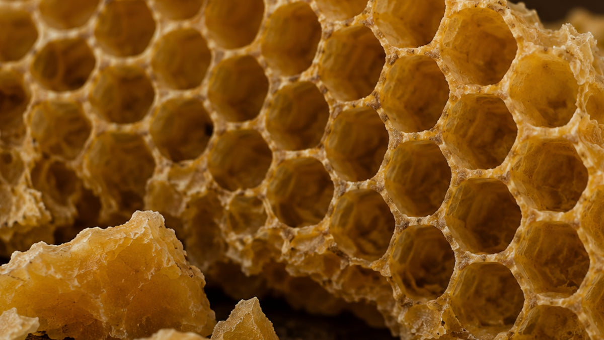 Bienenwachs gereinigt Bio-zutat1_rechts