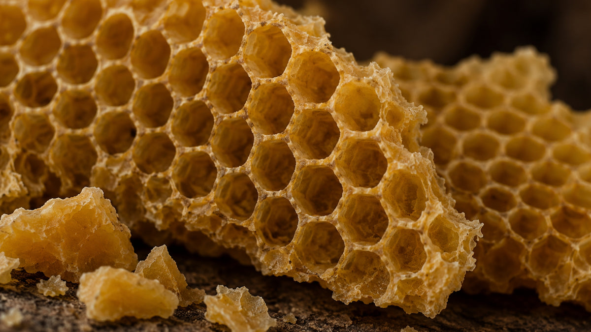 Bienenwachs gereinigt Bio-zutat2_links