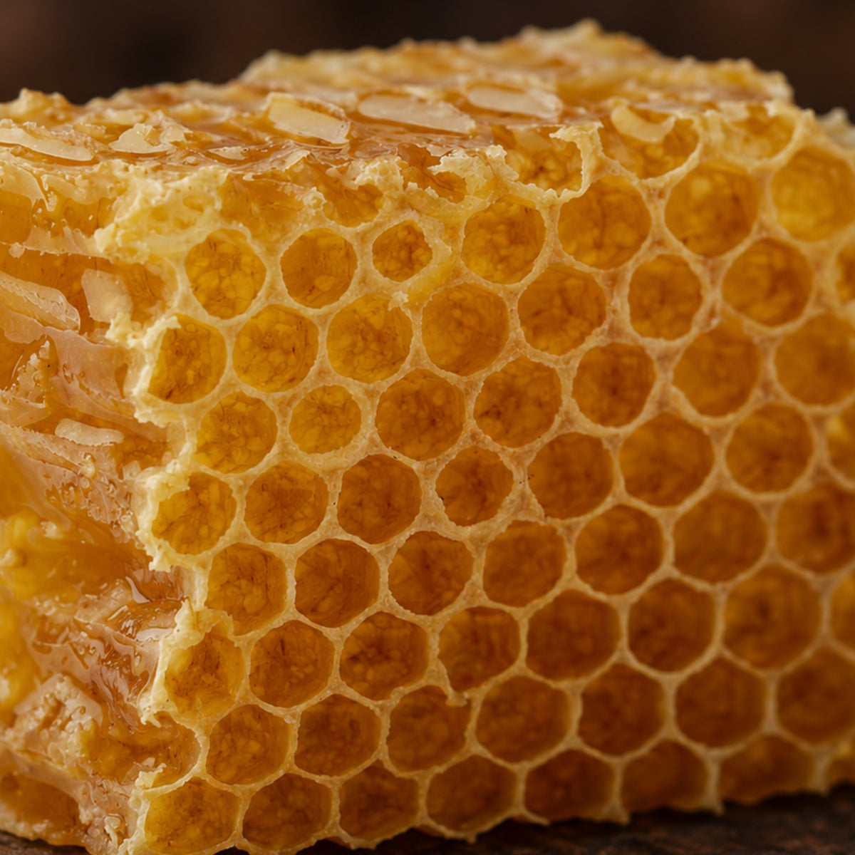 Bienenwachs gereinigt Bio-zutaten