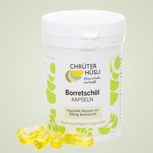 Borretschöl Kapseln 90 Stk