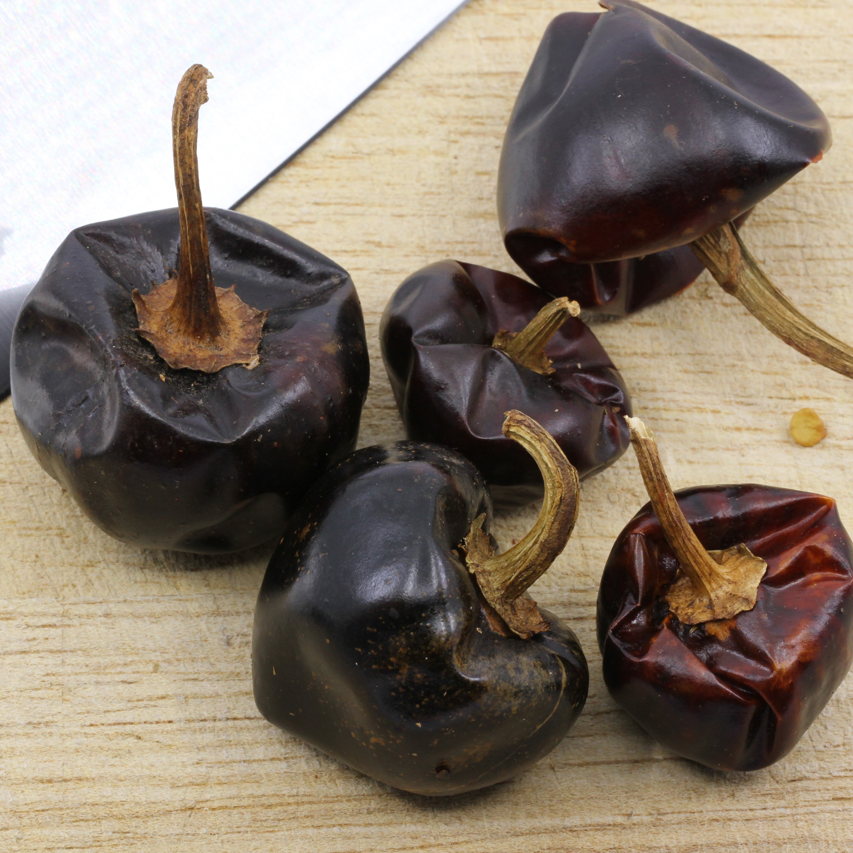 Chili Cascabel ganz