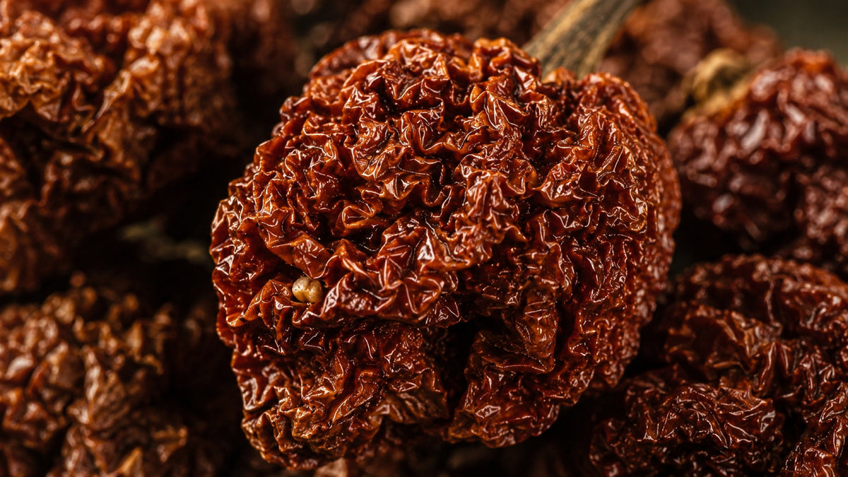 Chili Carolina Reaper ganz-form_top