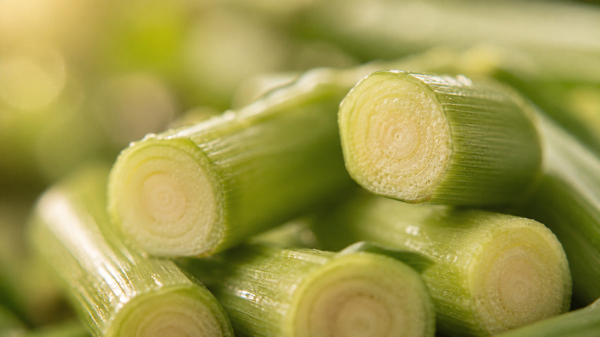 Citronella Öl-zutat1_rechts