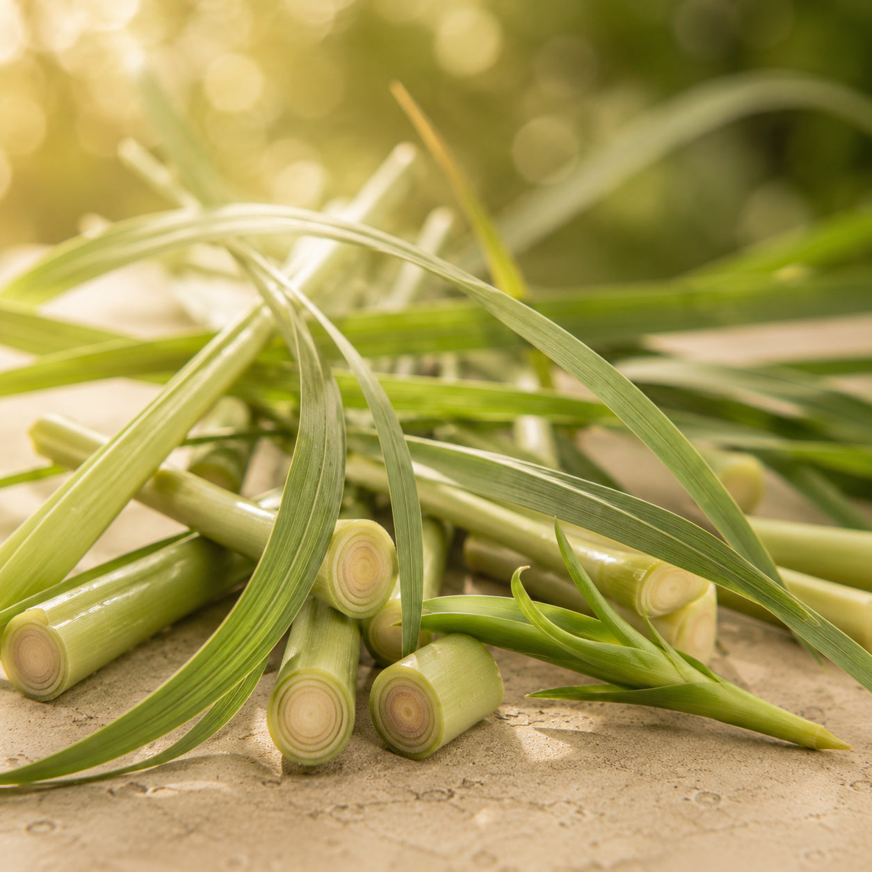 Citronella Öl-zutaten