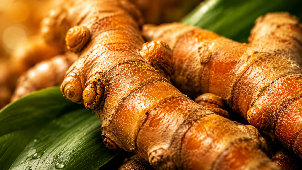 Curcuma Kapseln-zutat1_rechts