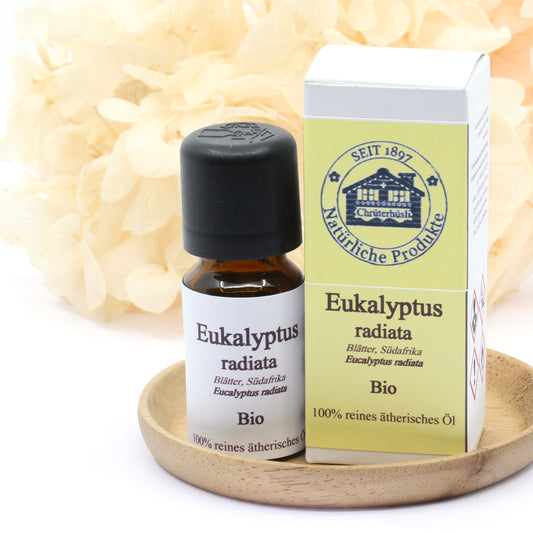 Eukalyptus radiata ätherisches Öl Bio 10 ml