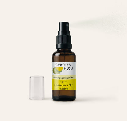 Feigenbaum Glycerinmazerat-einnahme