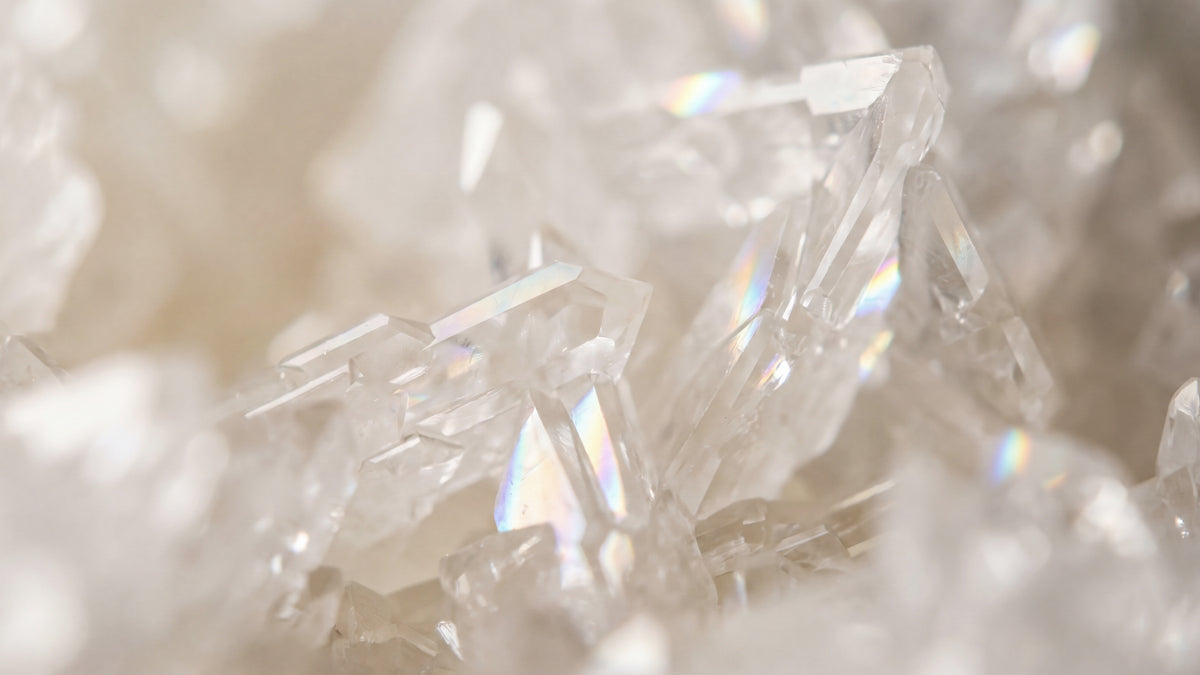 Galactose Pulver-zutat2_links