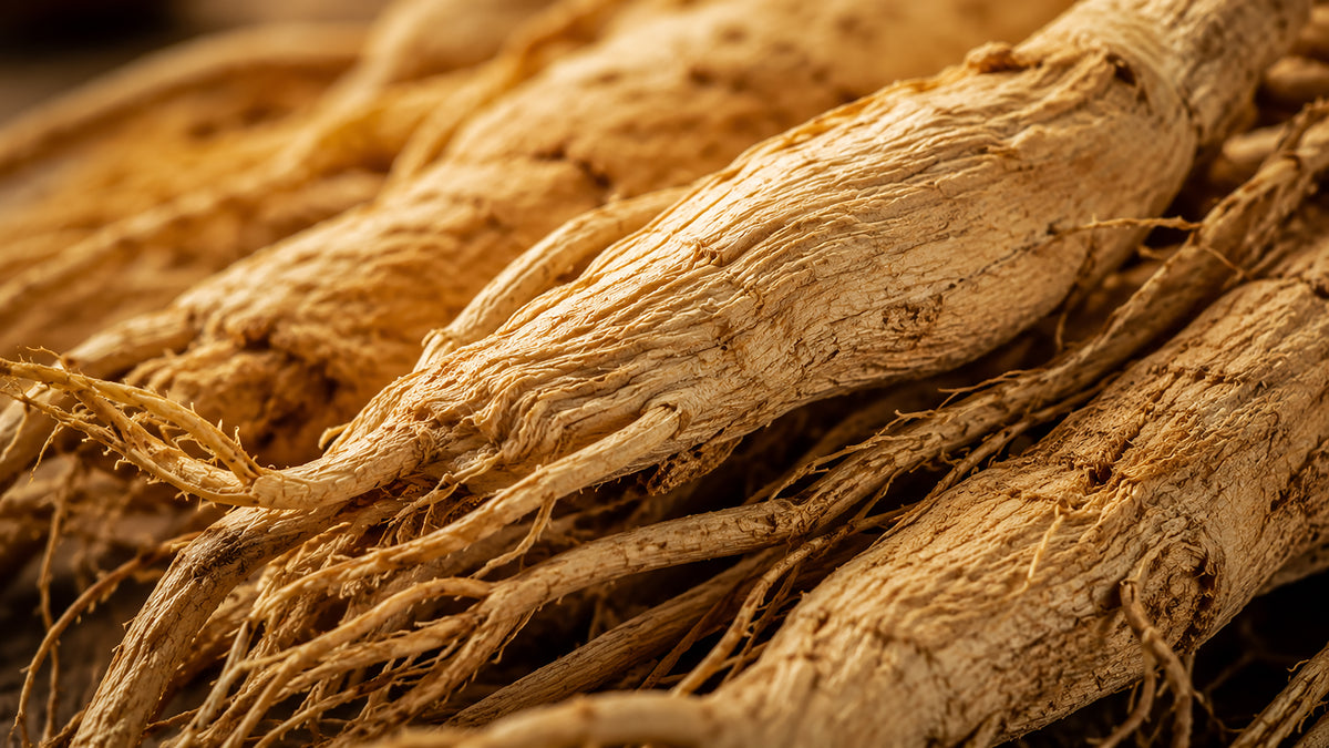 Ginseng Ginkgo Kapseln-zutat1_rechts