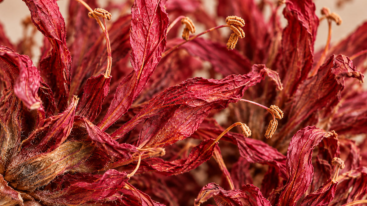 Goldmelisse Blüten Bio Premium-zutat2_links