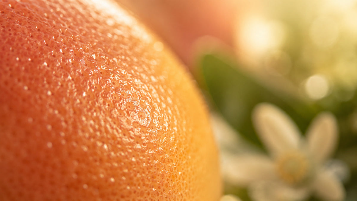 Grapefruit Öl-zutat2_links