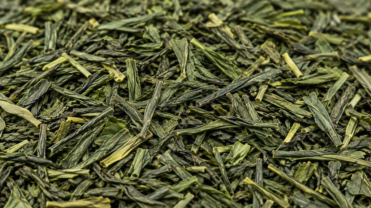 Grüntee Gyokuro Premium Shizuoka Bio-form_top