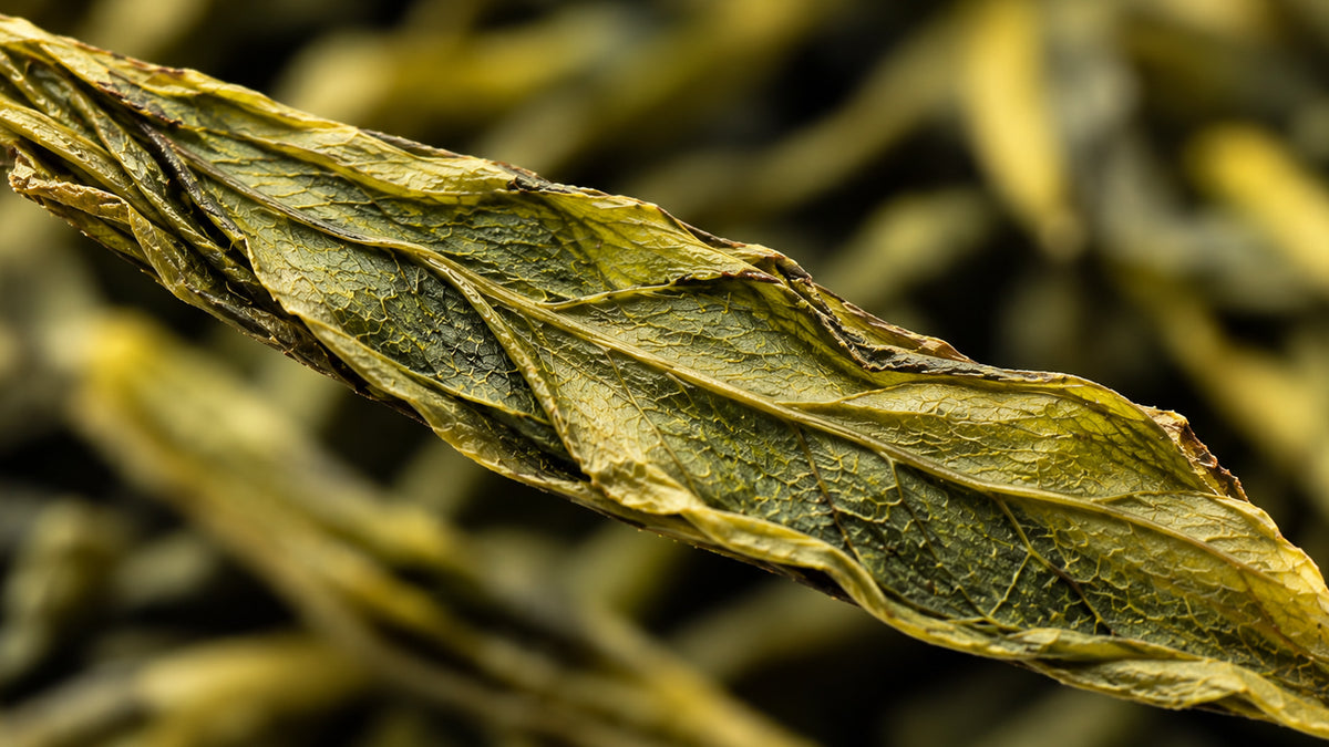 Grüntee Gyokuro Shincha Bio-zutat1_rechts