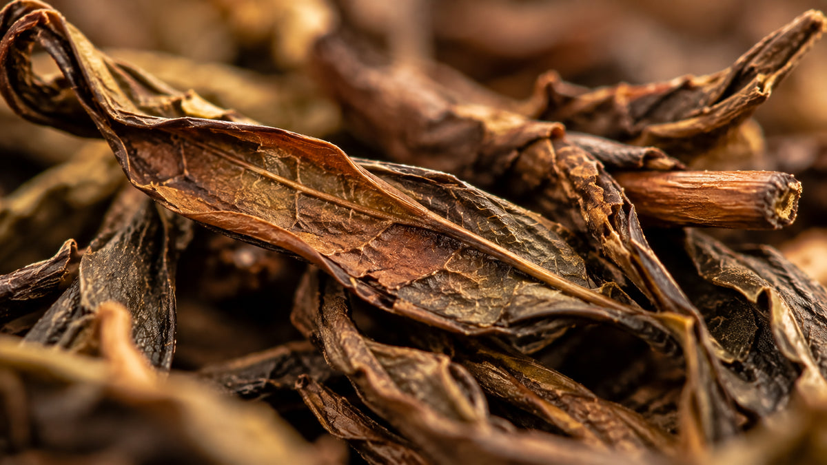 Grüntee Hojicha Bio-zutat2_links