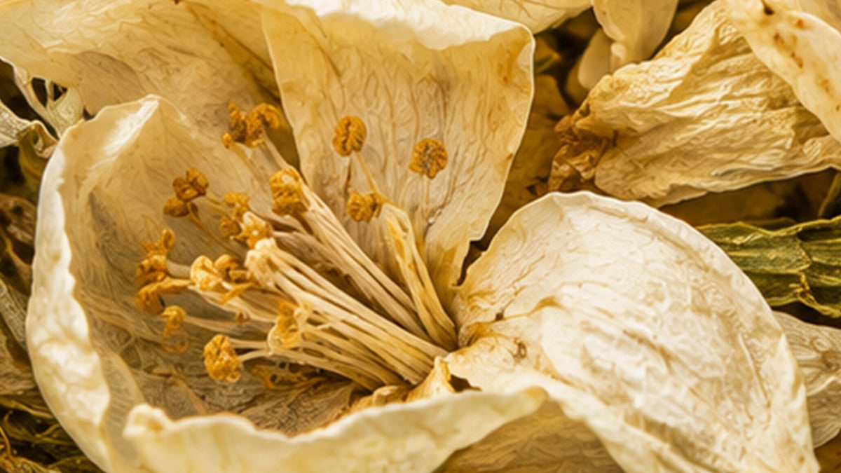 Grüntee Jasmin (Vietnam) Bio-zutat1_links