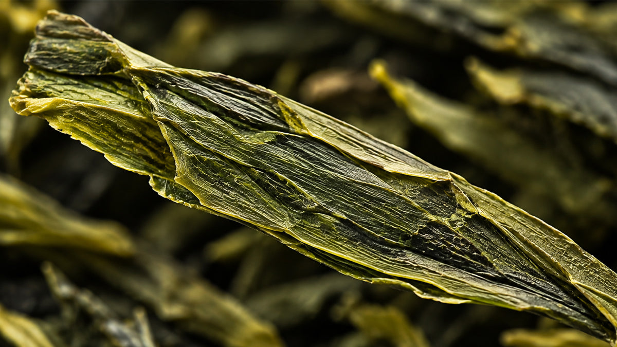 Grüntee Sencha entkoffeiniert Bio-zutat1_rechts