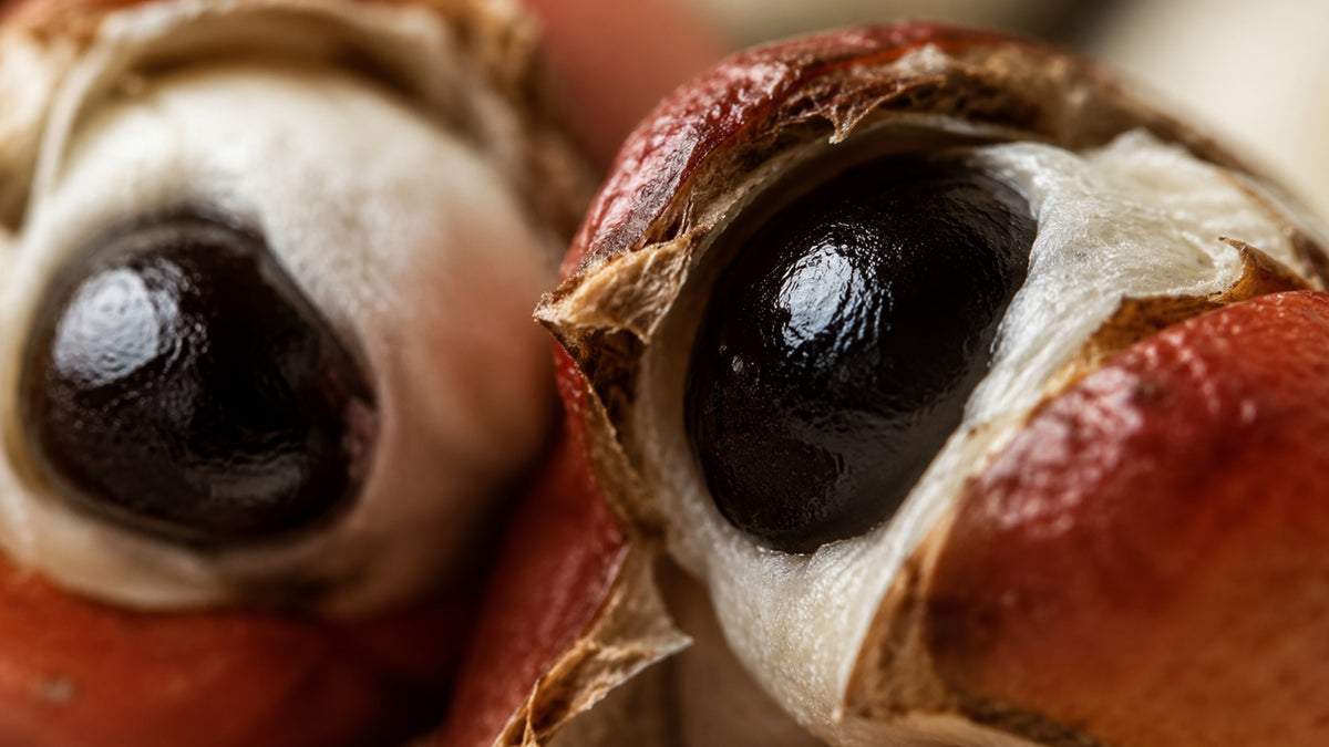 Guarana Bio Pulver-zutat1_rechts