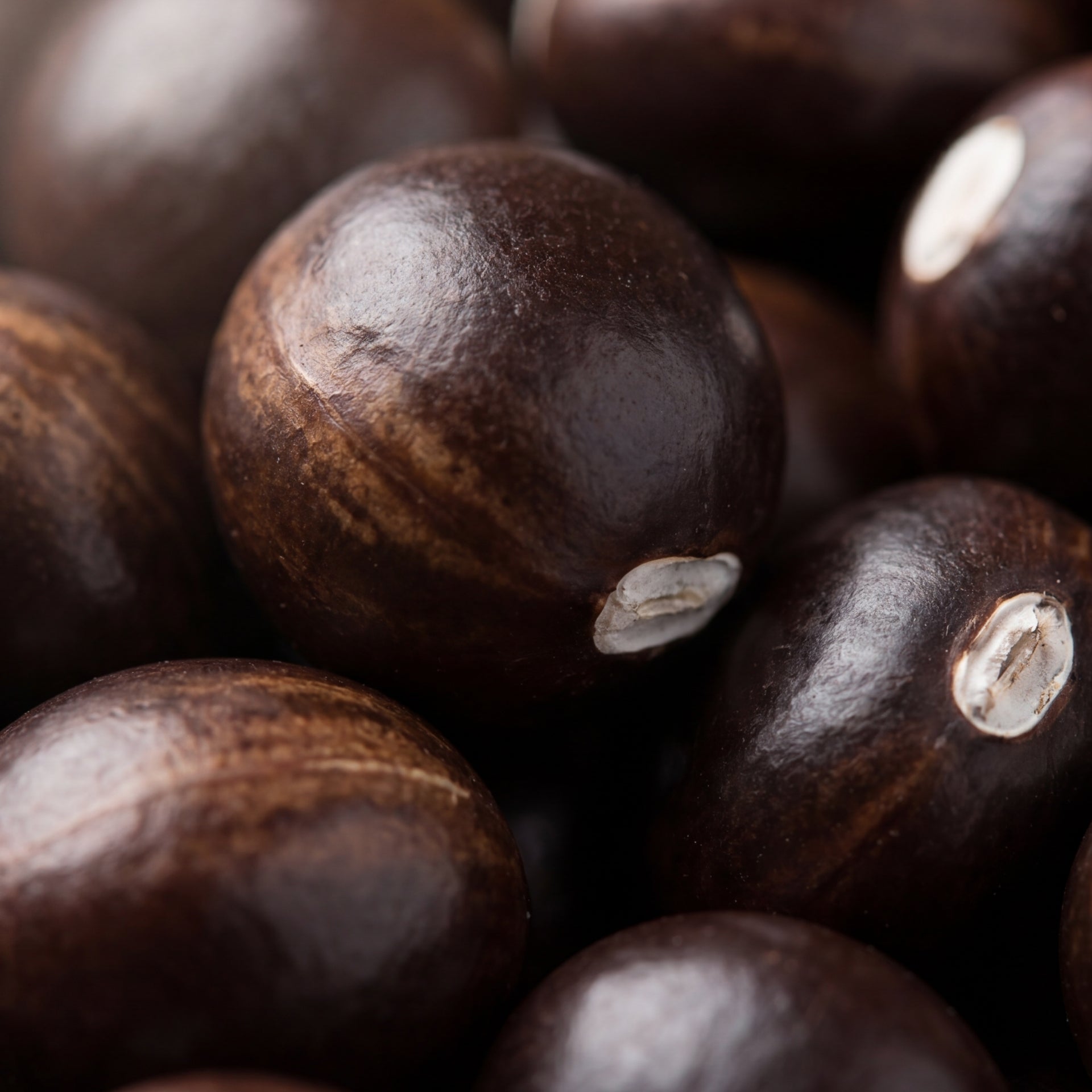 Guarana Bio Pulver-zutaten