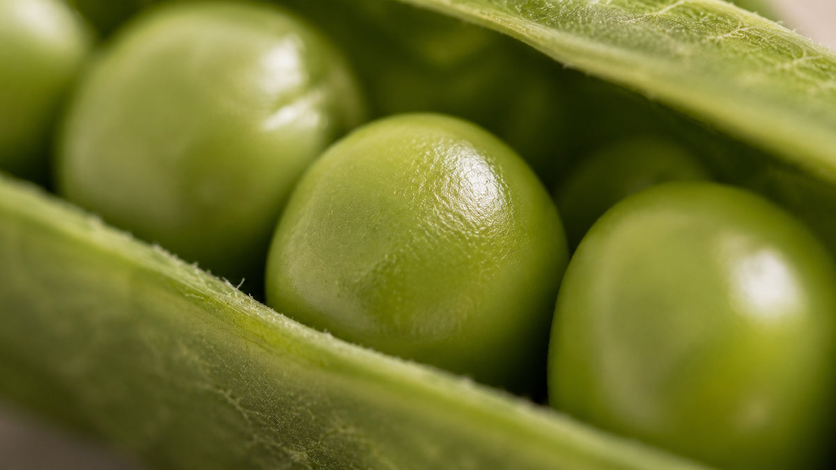 Haare und Nägel Kapseln Vegan-zutat2_links