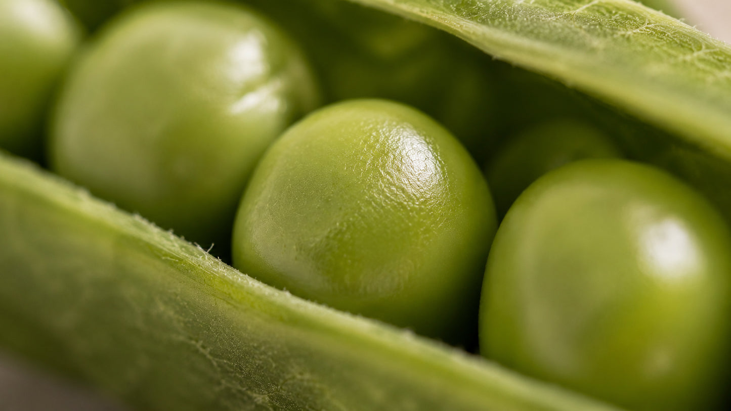 Haare und Nägel Kapseln Vegan-zutat2_links