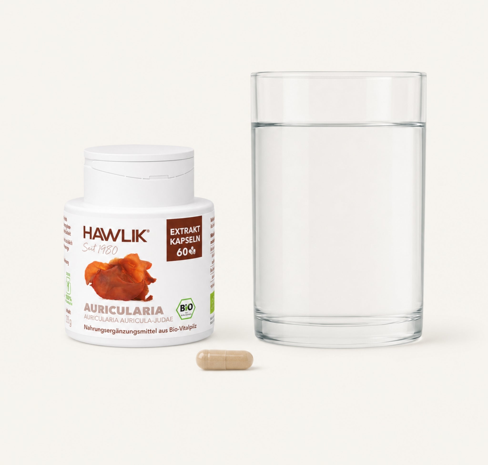 Hawlik Auricularia Kapseln-einnahme