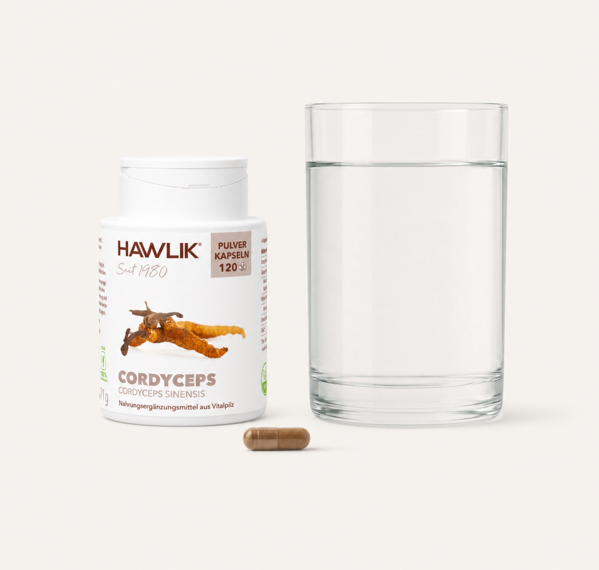 Hawlik Cordyceps Kapseln-einnahme