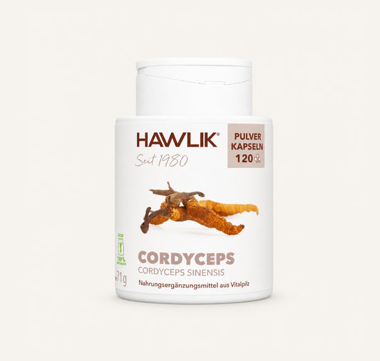 Hawlik Cordyceps Kapseln-verpackung