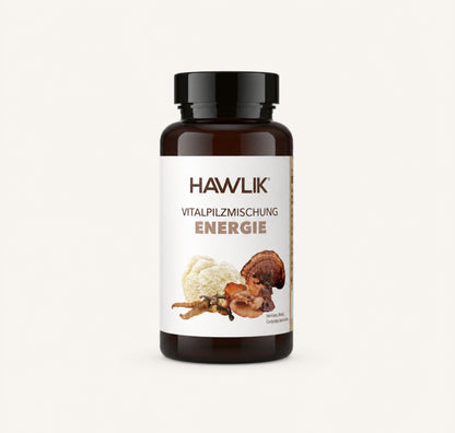 Hawlik Energie Vitalpilzmischung Kapseln-verpackung