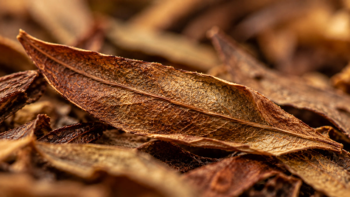 Honeybush Natur Tee Bio-zutat1_rechts