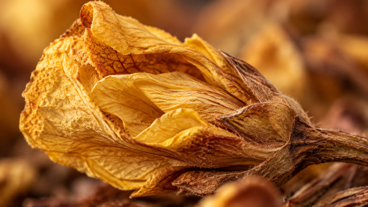 Honeybush Natur Tee Bio-zutat2_links
