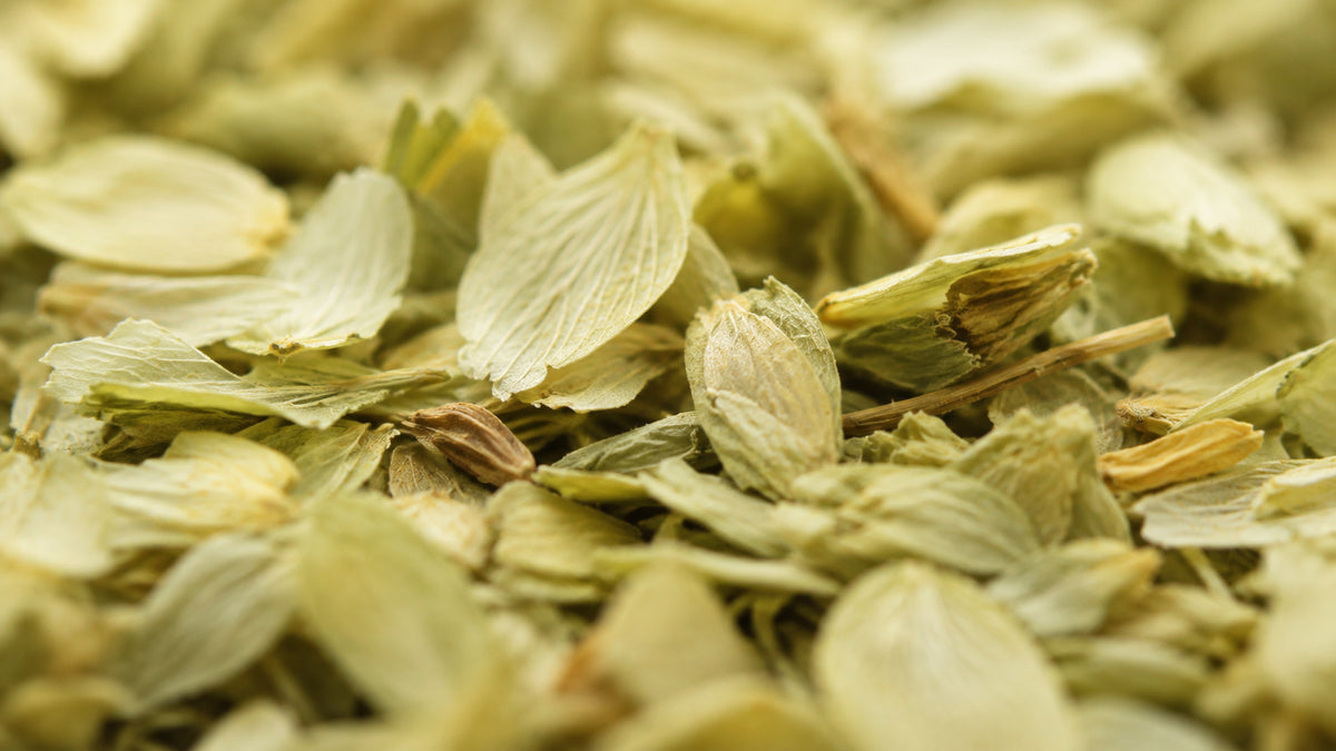 Hopfenzapfen geschnitten Tee Bio-form_top