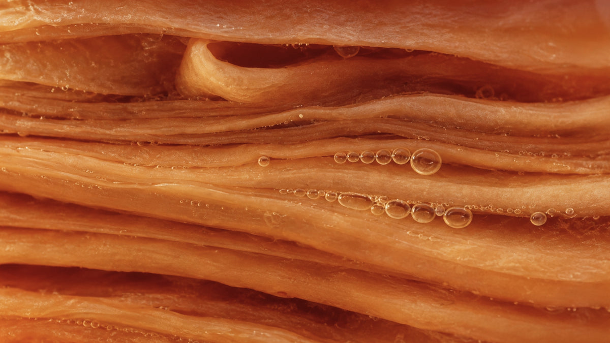 Kombucha-form_top