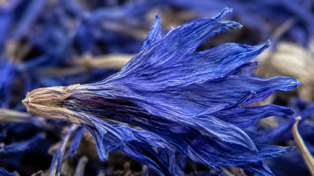 Kornblume Blau Bio Tee-zutat2_links