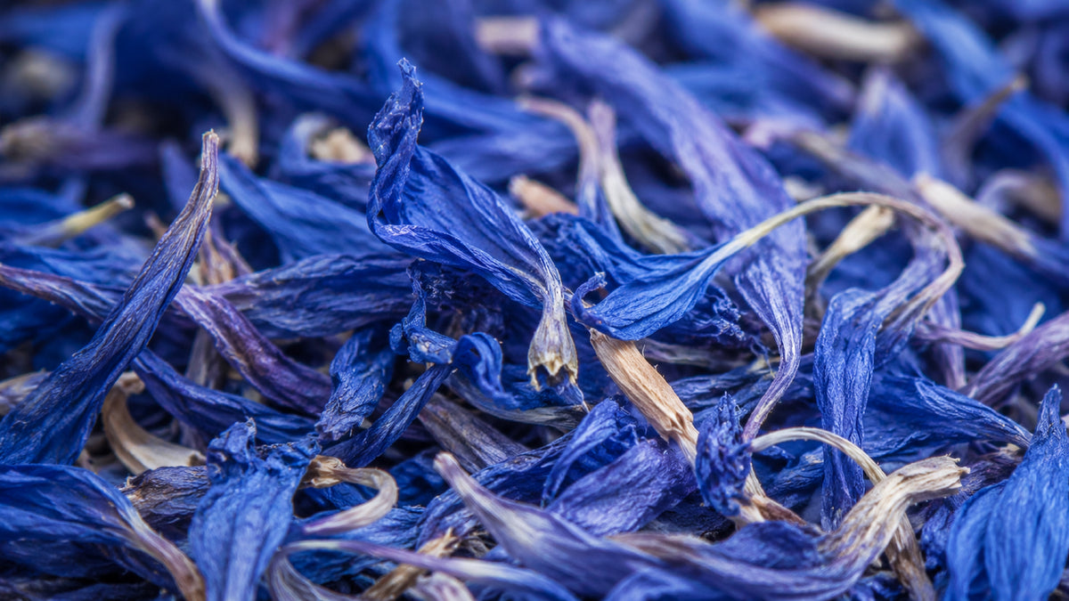 Kornblumen Blau Schweiz Bio-form_top