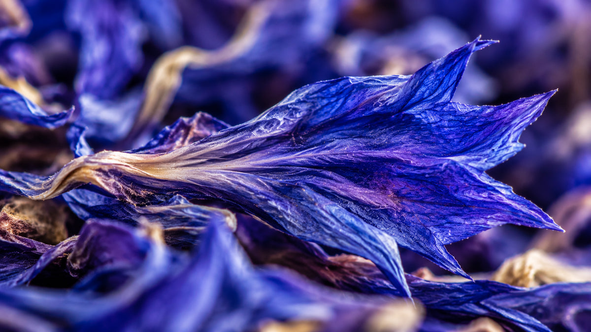 Kornblumen Blau Schweiz Bio-zutat2_links