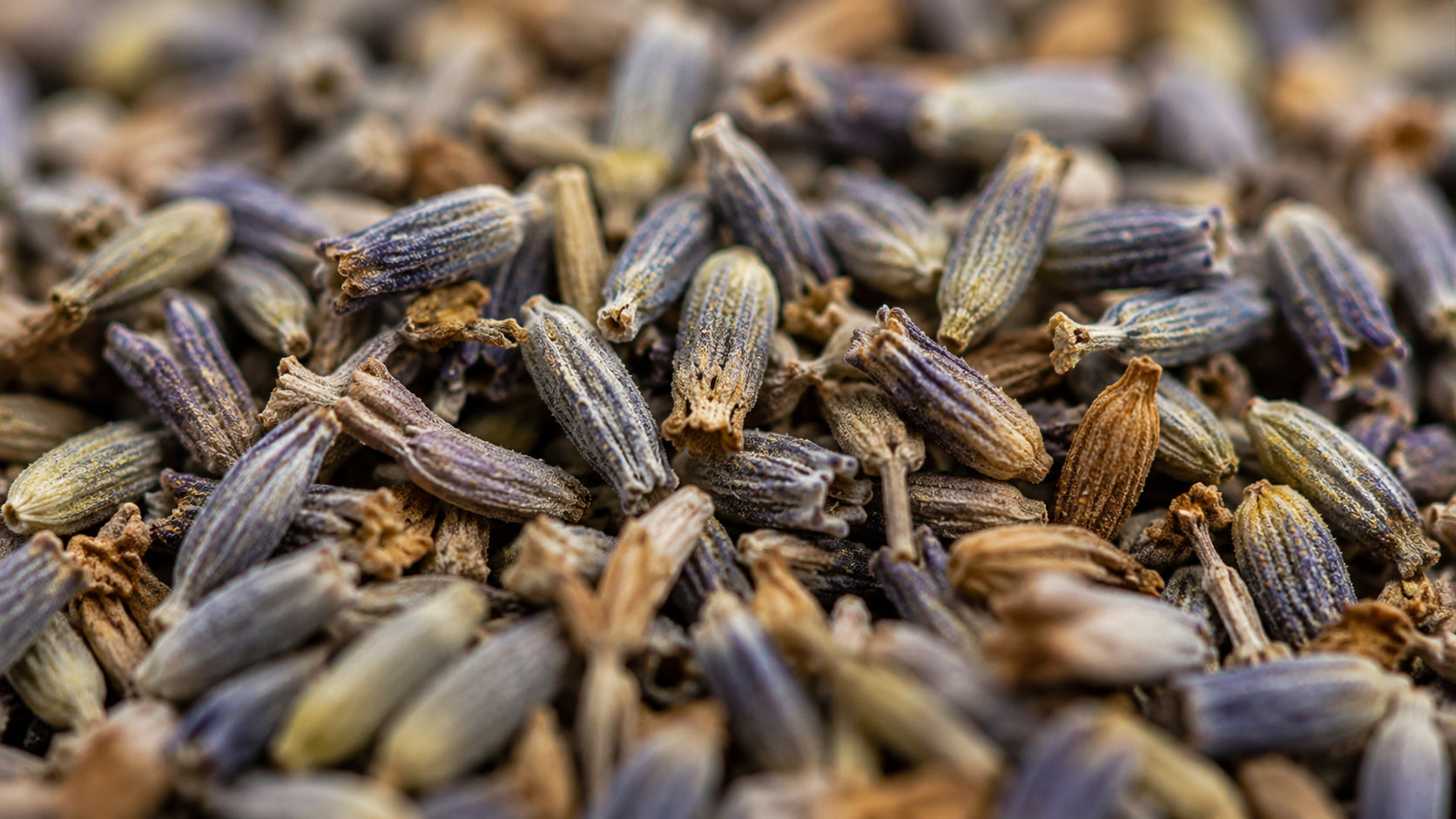Lavendel Duftsachet-Qualitat-form_top