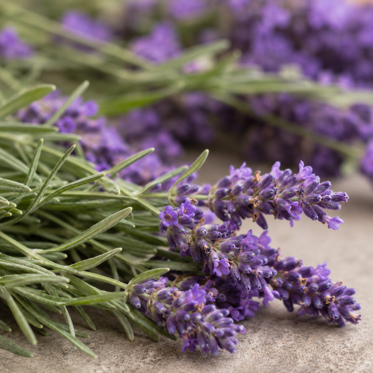Lavendel Duftsachet-Qualitat-zutaten