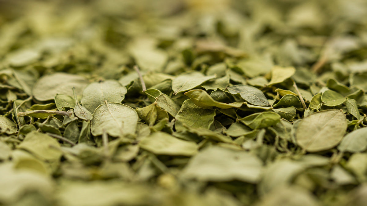 Moringa Blätter Bio geschnitten-form_top