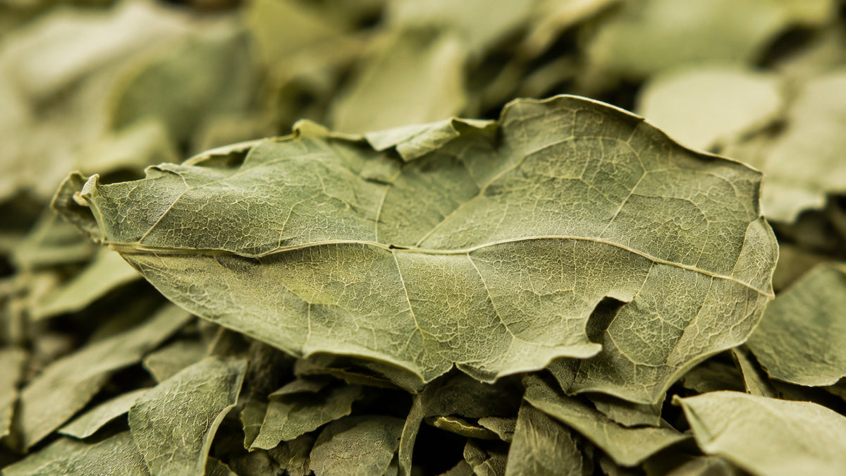 Moringa Blätter Bio geschnitten-zutat2_links